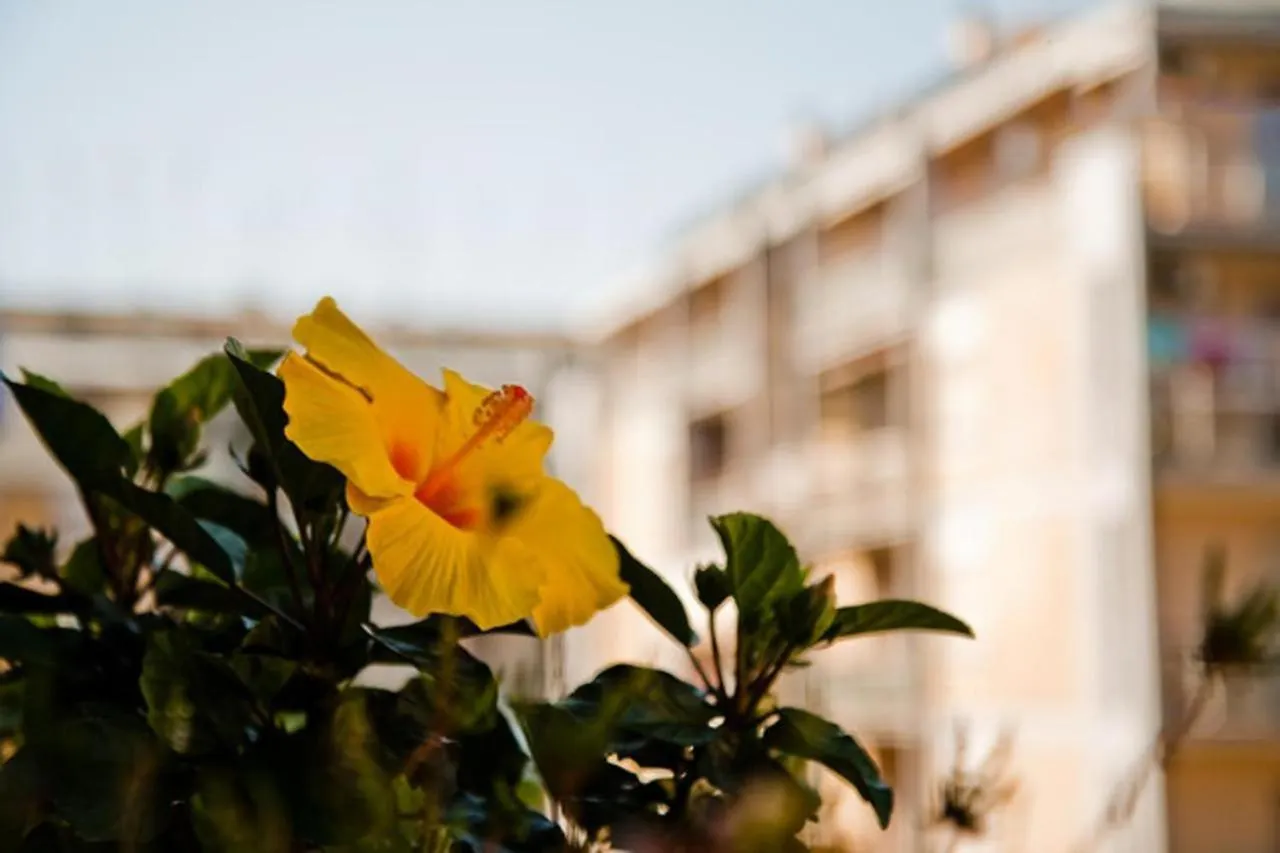 Camere Artistiche In Appartamento Rome Homestay