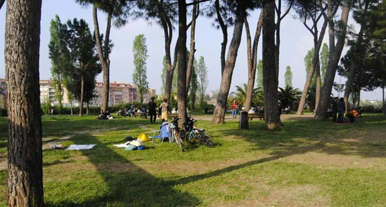Camere Artistiche In Appartamento Roma Alloggio in famiglia